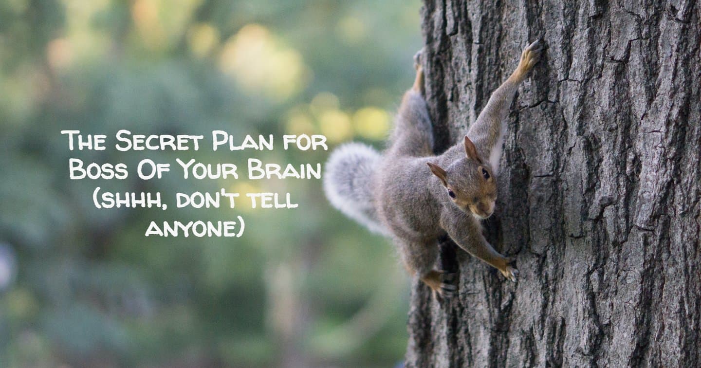 The Secret Plan for ADHD For Life